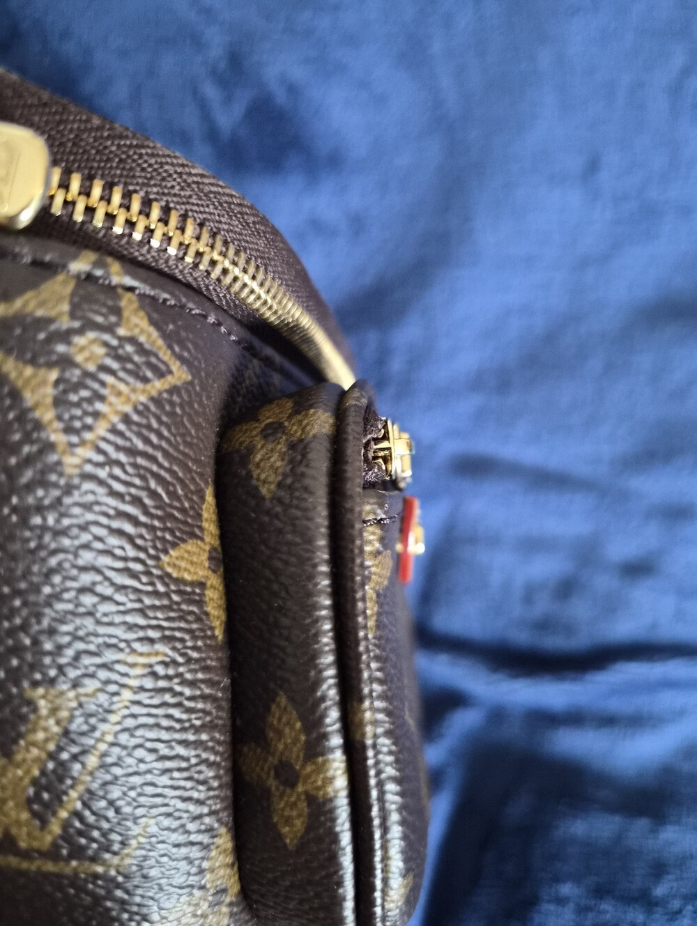 Louis Vuitton Monogram Canvas Mini Bum Belt Bag - Picture 7 of 16